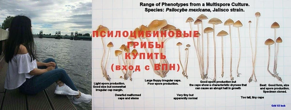 кокаин премиум Беломорск